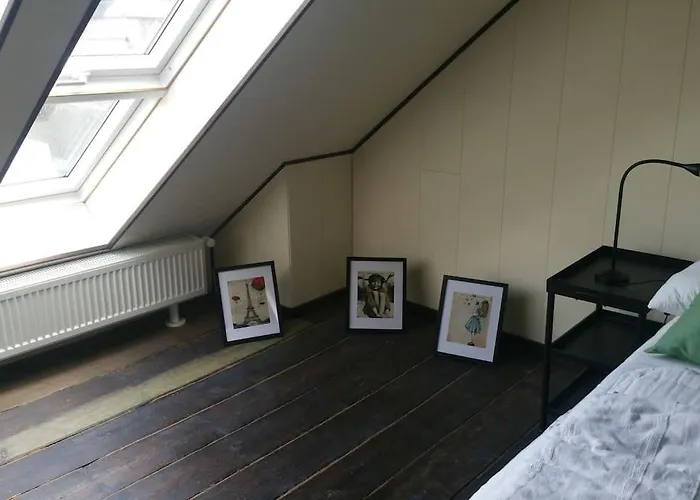 Schoene Im Jugendstilhaus Im Weltkulturerbe 公寓 巴哈拉赫